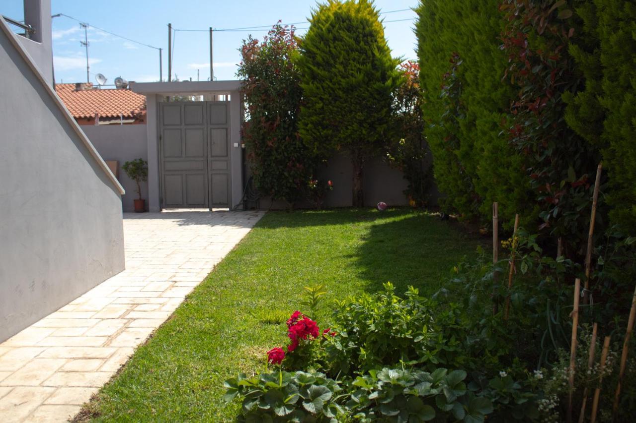 Elias Studio - Near To The Port Of Rafina And The Airport Of Athens Agios Spyridon  외부 사진